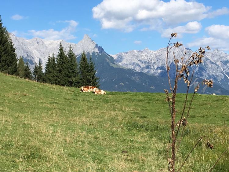 5 tage intensiv retreat sinneserfahrung achtsamkeit plastizieren mit ton inkl einzelcoaching retreat urlaub