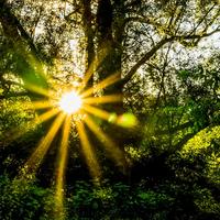 Get Kraft tanken energie tanken sprueche Free HD Kraft Tanken Energie Tanken Sprueche