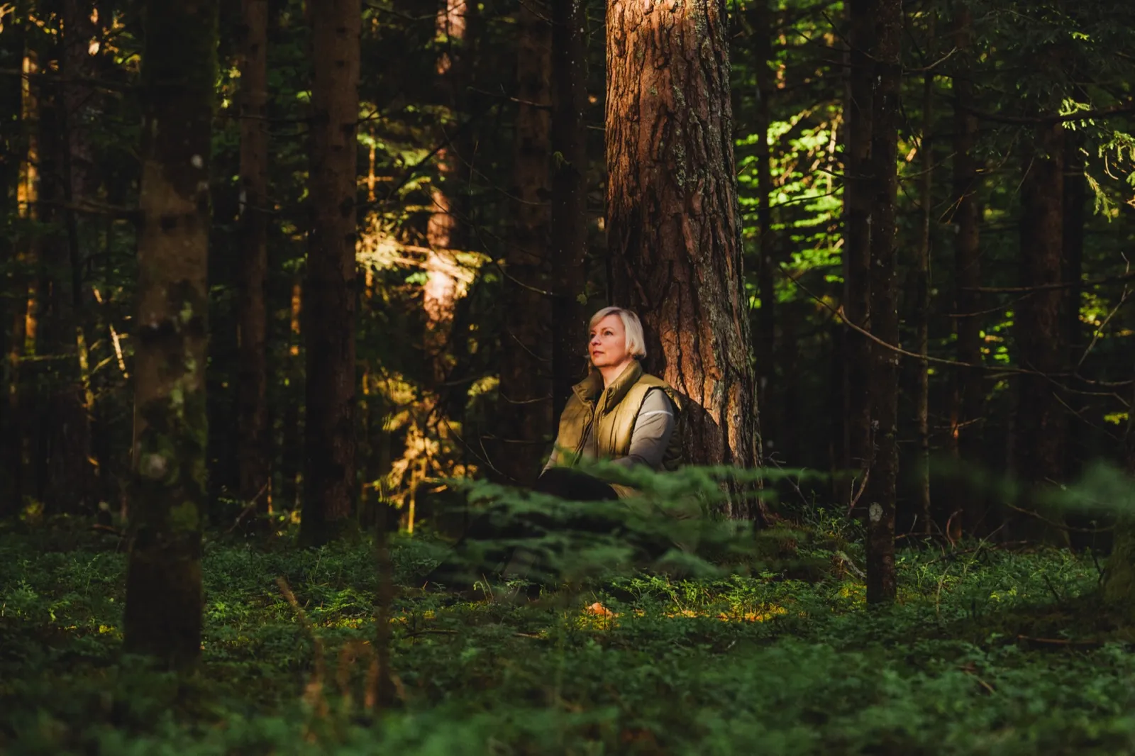 Forest Therapy Trail in Schiefling – Waldauszeit