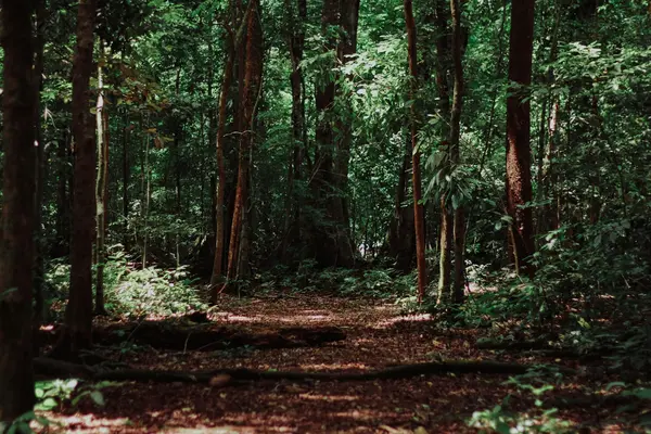 Which seven themes you actually find on a self-discovery retreat
