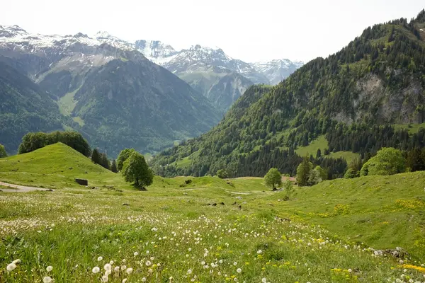 What sets the Allgäu apart for yoga retreats