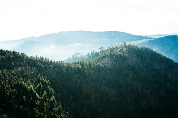 Mikro-Regionen: Hoch-, Mittlerer und Nordschwarzwald