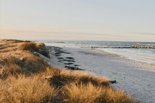 Beste Reisezeit für Yoga Retreats an der Ostsee