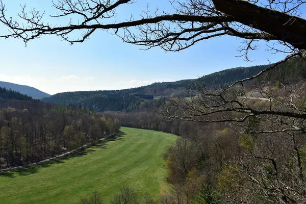 Meditation traditions that are strong in Germany