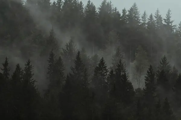 A day in a meditation retreat