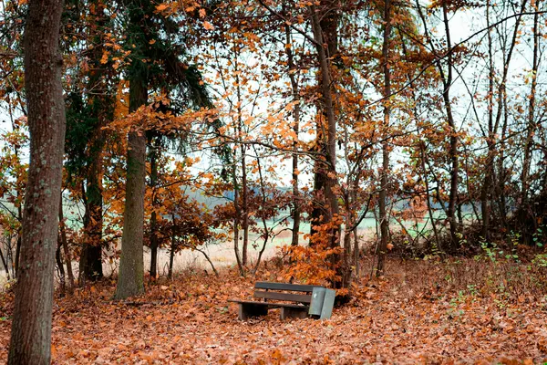 What sets mindfulness in Bavaria apart