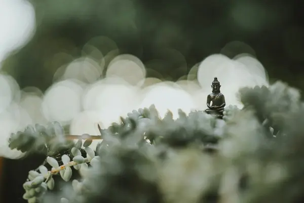 Daily rhythm, group and silence