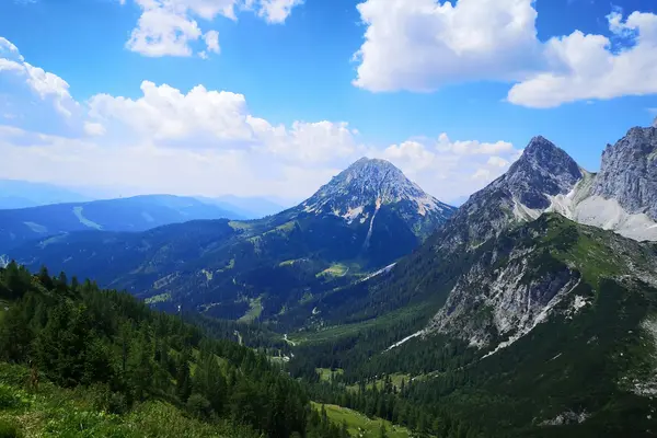 Yoga styles and focus areas in Austria