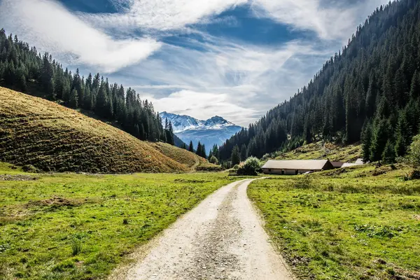 Travel, season, daily rhythm and price