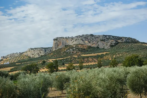 Was Yoga in Spanien als Reise-Ziel attraktiv macht