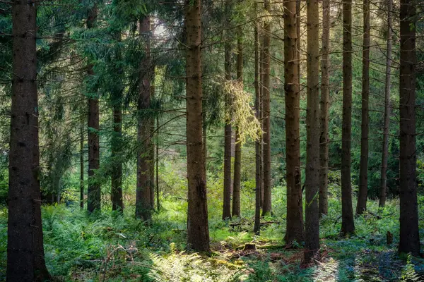 Wann sich ein Retreat in Deutschland besonders eignet
