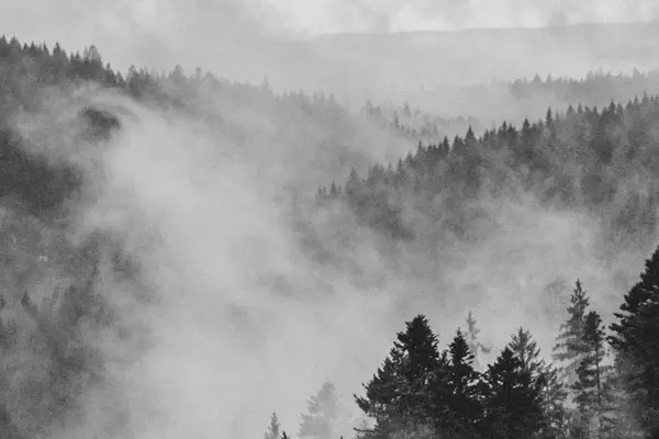 Saison, Tagesablauf und Preise