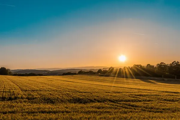 Season, daily rhythm, and prices