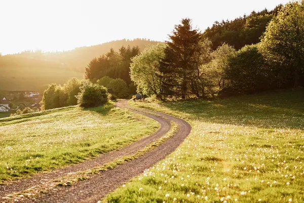 MBSR, Coaching und stille Klausuren