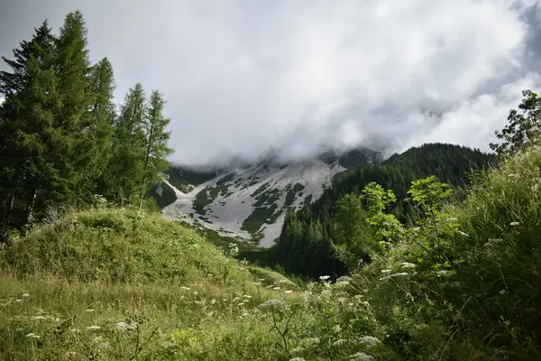 Dachstein, Schladming und Südsteiermark