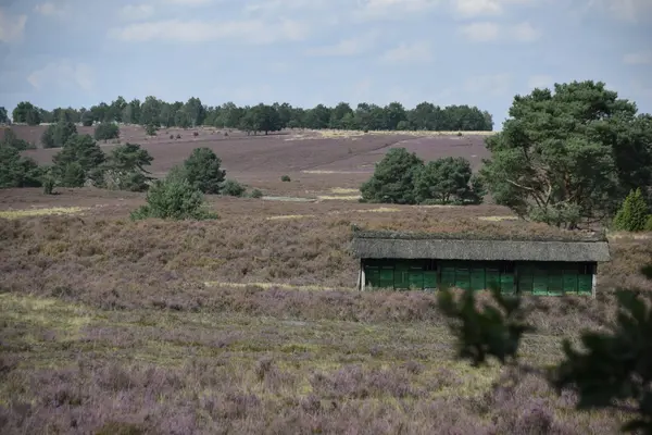 Heide, Harz, Wesertal und Küste
