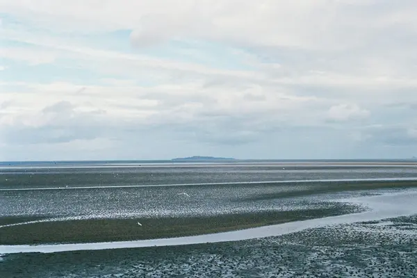 Wer ein Yoga-Retreat in Schleswig-Holstein bucht