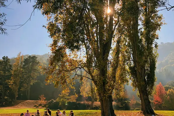 Welche Retreat-Arten in Bayern angeboten werden