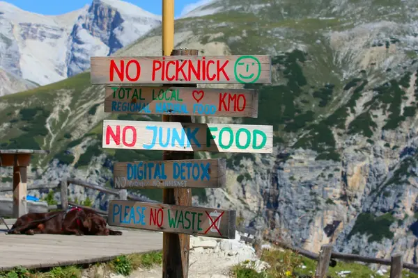 What a digital detox holiday actually means