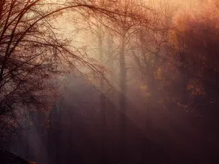 Samhain Ancestral Magic in Ticino—Between the Chestnut Forest and the Ancestral Trail