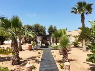 Desert Meets Sea & Coast: Yoga and Hiking Retreat at the TigerLounge in Morocco with a German Instructor