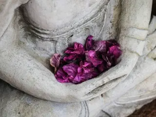 Introduction to Mindful Silence - Mühlviertel