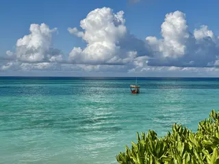 Manifesting Miracles - 7-Tagesretreat mit Yoga, Reiki, Meditation in Zanzibar