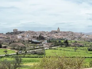 Reset & Rise - Yoga & Ayurveda in Mallorca