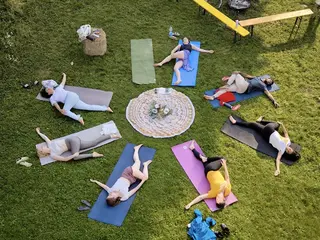 Back to the Roots – A 4-Day Retreat in the Black Forest Featuring Forest Bathing, Hiking, Yoga, Meditation, and Reiki