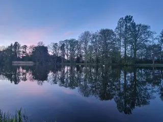 Reflections - A Long Weekend of Painting