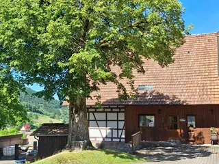 Building Resilience in the Black Forest