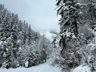 Winter - Breathwork - Retreat