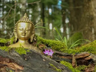 Autumn Retreat – Hiking, Yoga, and Meditation