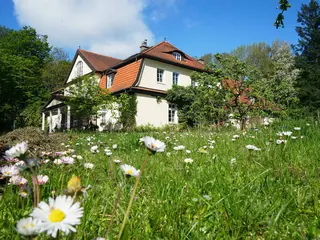 Fasten, Detox, Yoga, Wandern und Stressbewältigung (Bildungsurlaub) im Seegut Blaue Blume