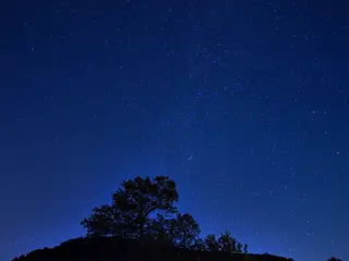 Darkness Retreat in the Taunus Mountains – A Retreat into Total Darkness