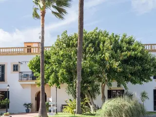 Yin Yoga Teacher Training in Mallorca