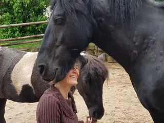 Horse-Assisted Retreat—3 Days of One-on-One Support Just for You