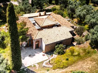 8-Day Deep Root Journey: Creativity, Yoga, and Holistic Wellness in Greece 