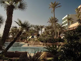 NERVOUS SYSTEM RESET. Yoga Retreat Mallorca