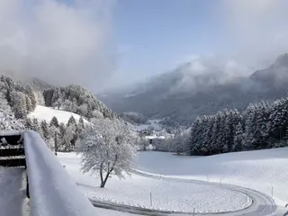Yoga & Dance Retreat in the Mountains