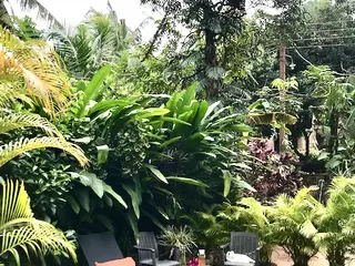 Ayurveda & Life Coaching Short Retreat — Recharge and Realign in Weligama