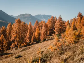 Goldene Auszeit Retreat Engadin Wandern - Yoga - Fotografie