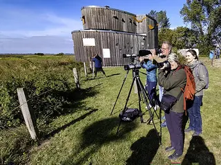 Malreise zu den Kranichen und Hirschen an der Ostsee