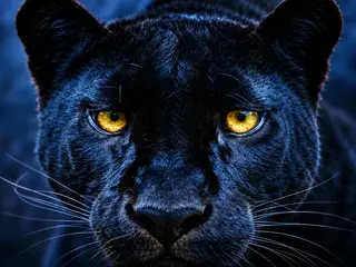 Introductory Seminar on Shamanism: Spirit Animals, Spirit Guides, and Shamanic Journeying