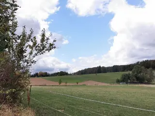 A Yoga Retreat in the Odenwald for Inner Stability and Serenity