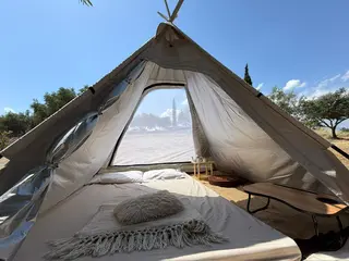 Tipi