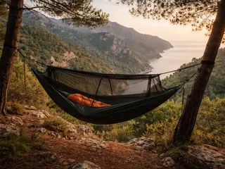 Shelter/hammock nature accommodation.  